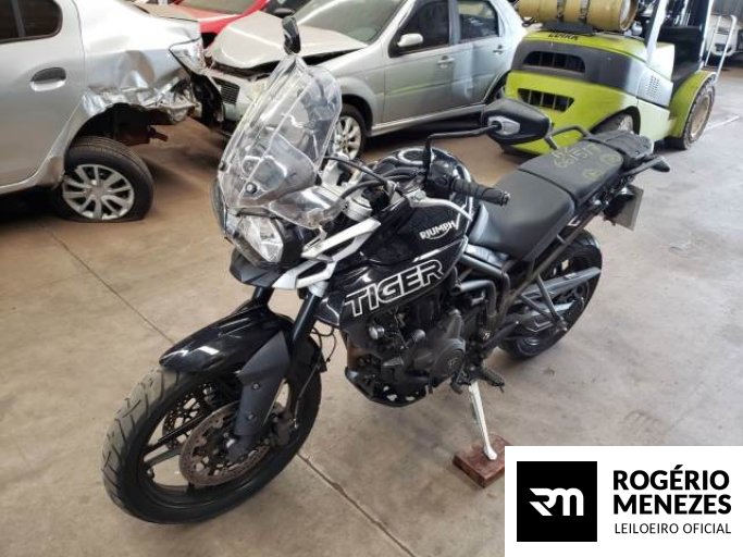 TRIUMPH TIGER 19/19